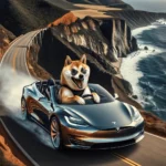Dogecoin and Tesla: How the Prices of Both Tend to Share the Same Fate