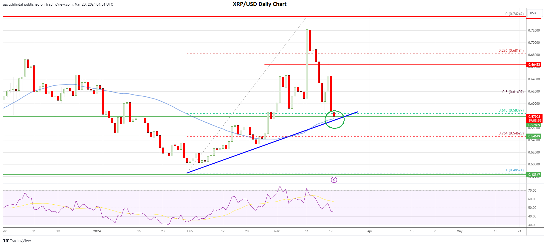 XRP price daily chart | Source: TradingView.com