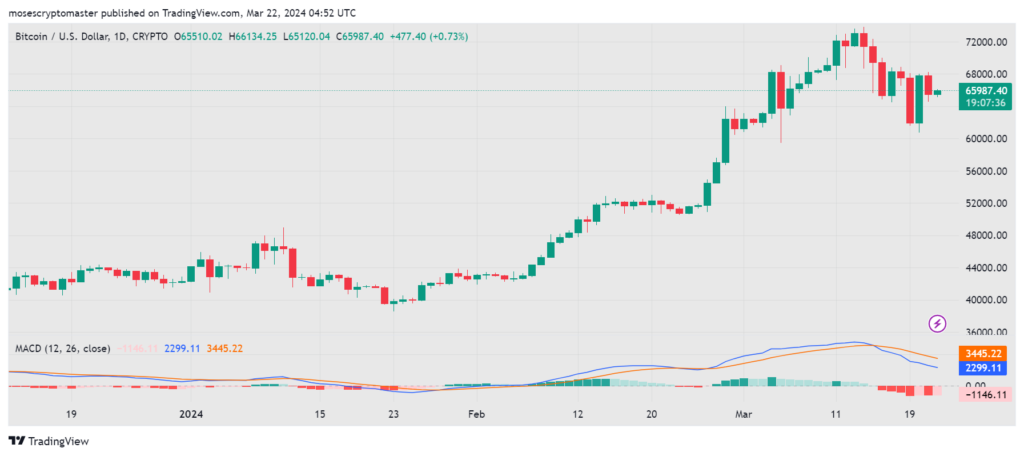 Bitcoin 1-year price chart. Source: TradingView
