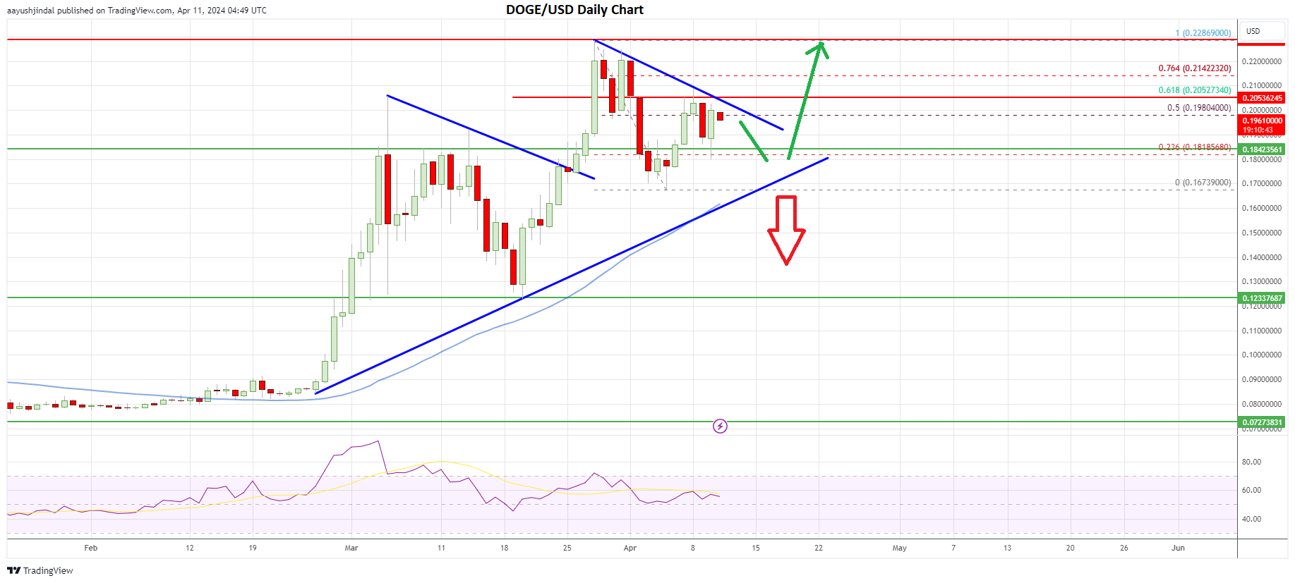 Dogecoin price daily chart | Source: DOGE/USD on TradingView.com