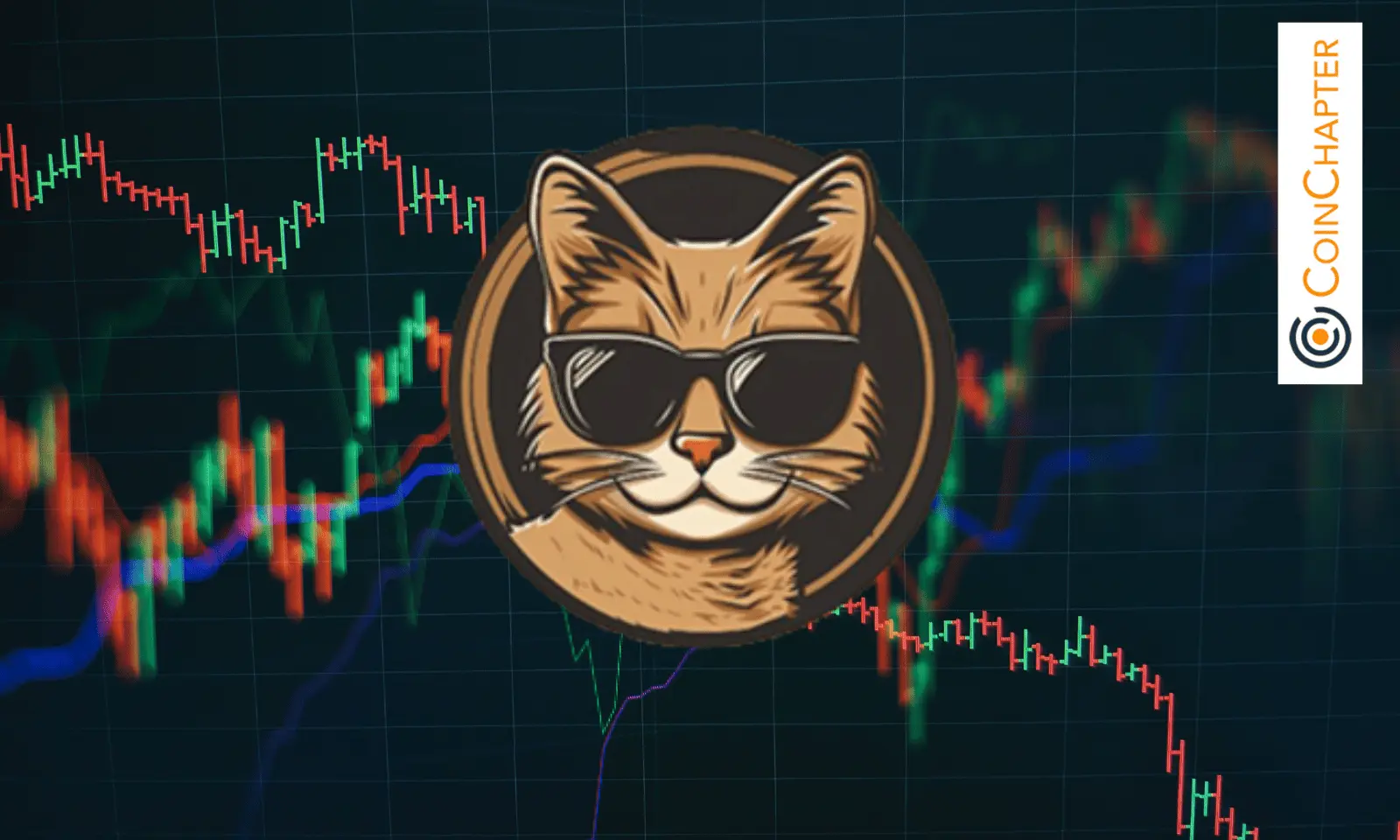 ELONCAT Price Slashed in Half