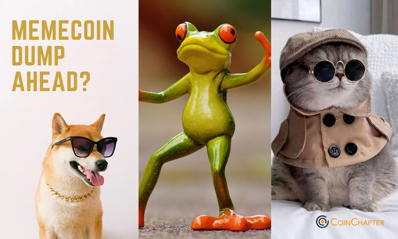 Memecoin frenzy ahead