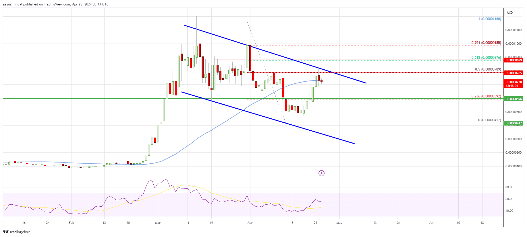 Pepe coin price daily chart | Source: PEPE/USD on TradingView.com