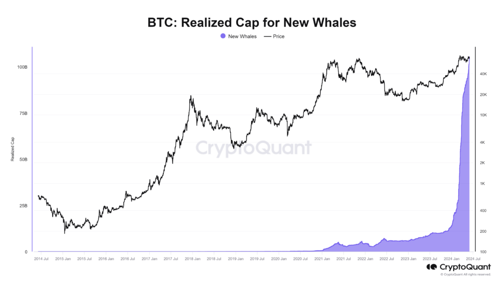 BTC Whale Accumulation Chart: Realized Cap for New Whales
Source: CryptoQuant