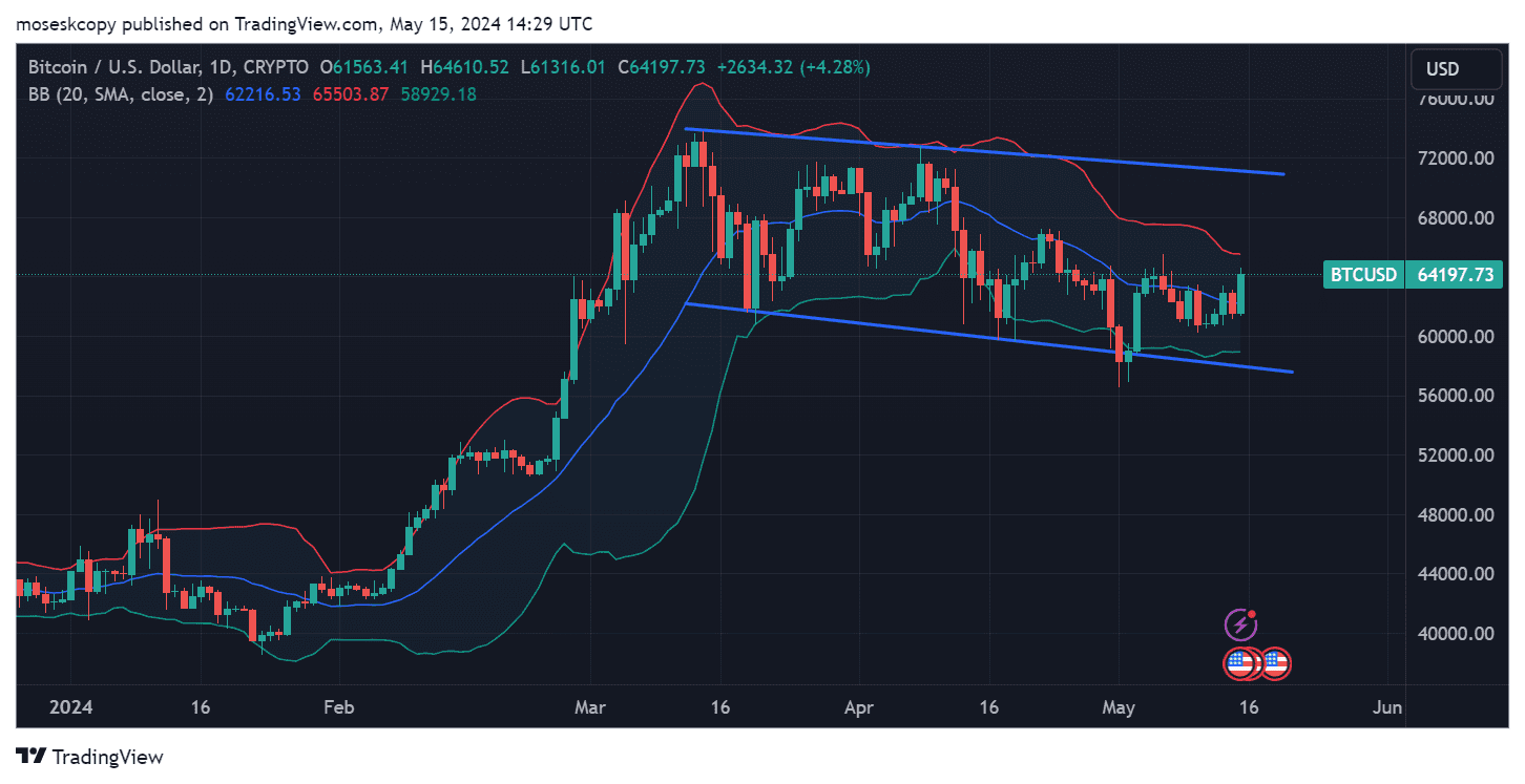 BTC/USD 1-day price chart. Source: TradingView