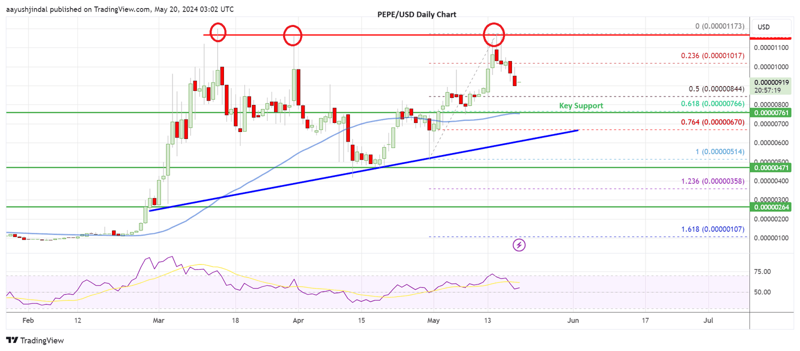 Pepe coin price daily chart | 