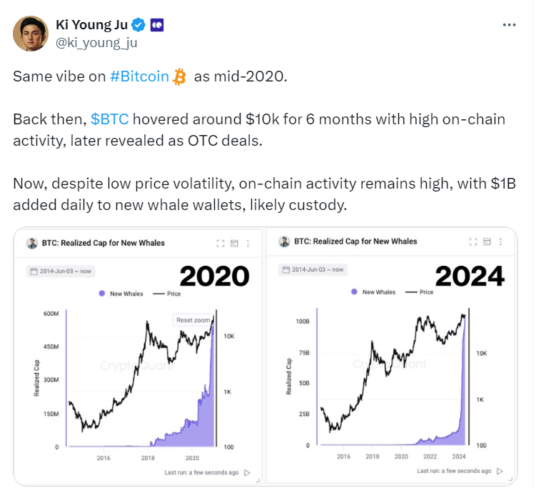 Bitcoin Whale Activity Patterns in 2020 vs. 2024
Source: Ki Young Ju 