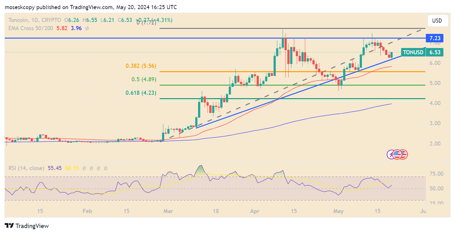 TON/USD 1-day price chart. Source: TradingView