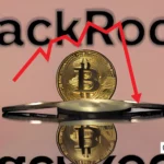 BlackRock Bitcoin ETF Faces First Daily Outflow — Should You Panic?