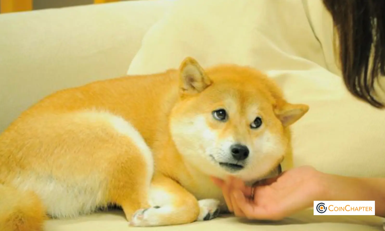 Dogecoin Kabosu