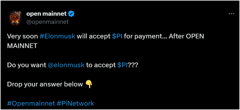 Musk Pi Coin