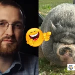 Cardano Founder Had a Pig. It’s Now a Memecoin