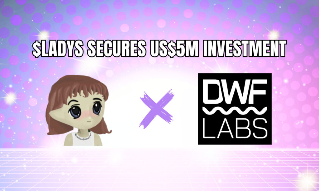 , Milady Meme Coin Secures US$5 Million Investment from DWF Labs