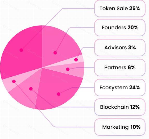 the FTN token distribution