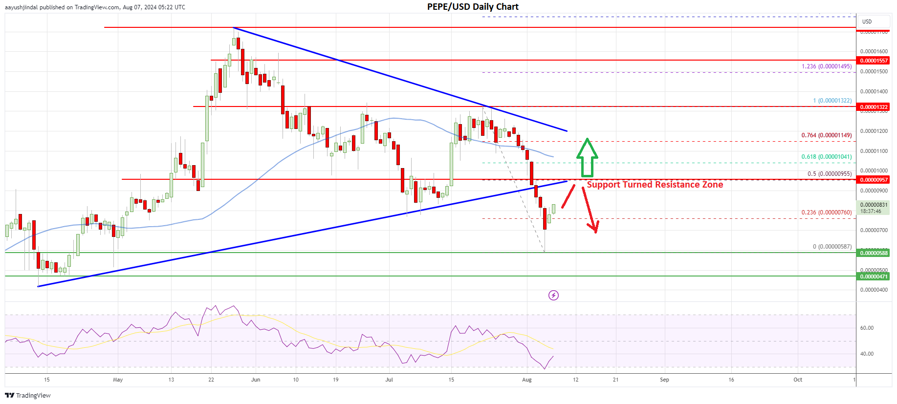 Pepe Coin Bulls Face Key Resistance: Will They Break Through?