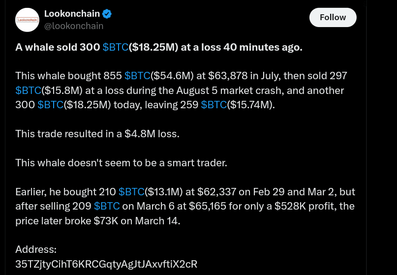 Whale Sells 300 Bitcoin (BTC) at a Loss