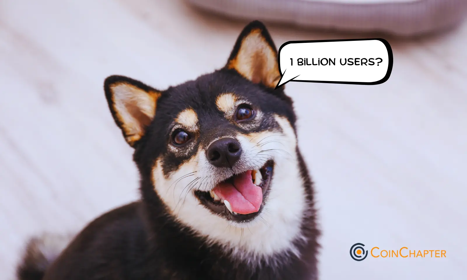 Shiba Inu IIFA Partnership