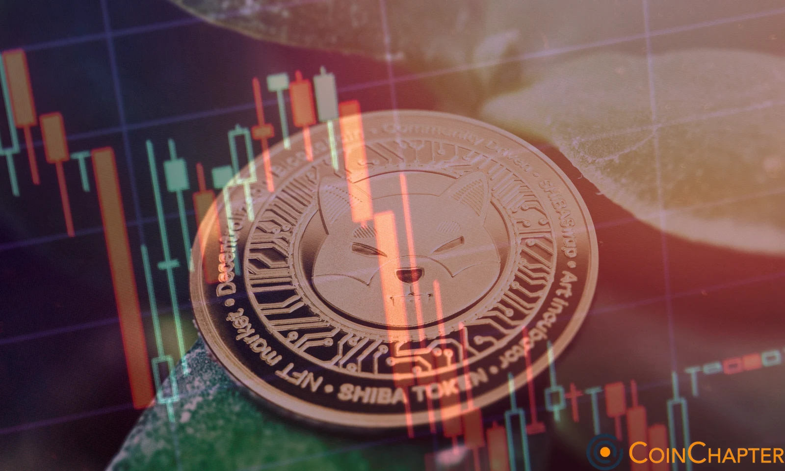 Shiba Inu SHIB USD scam warning