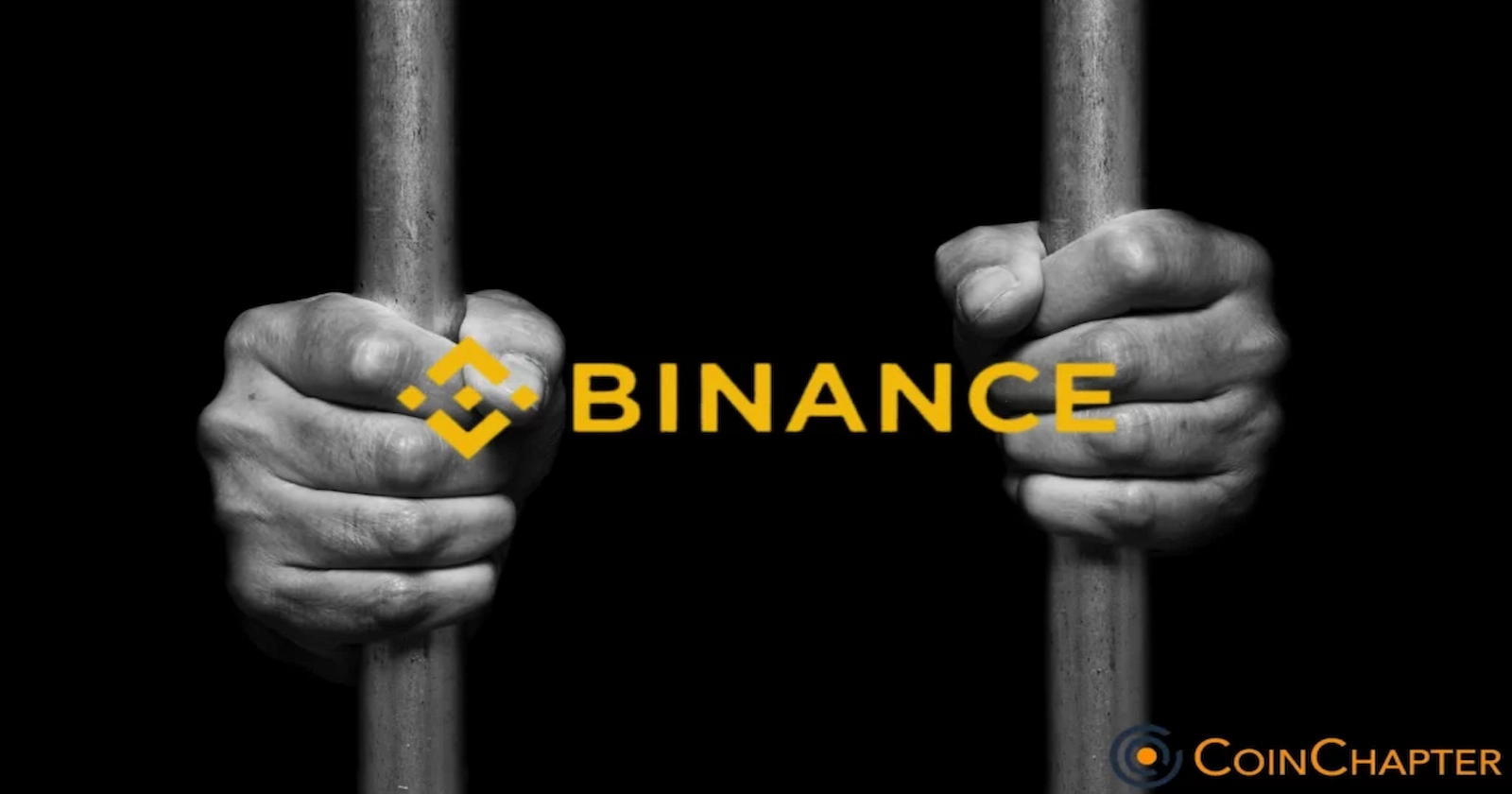 Binance's Tigran Gambaryan Facing Health Issues, Family Fears for Life