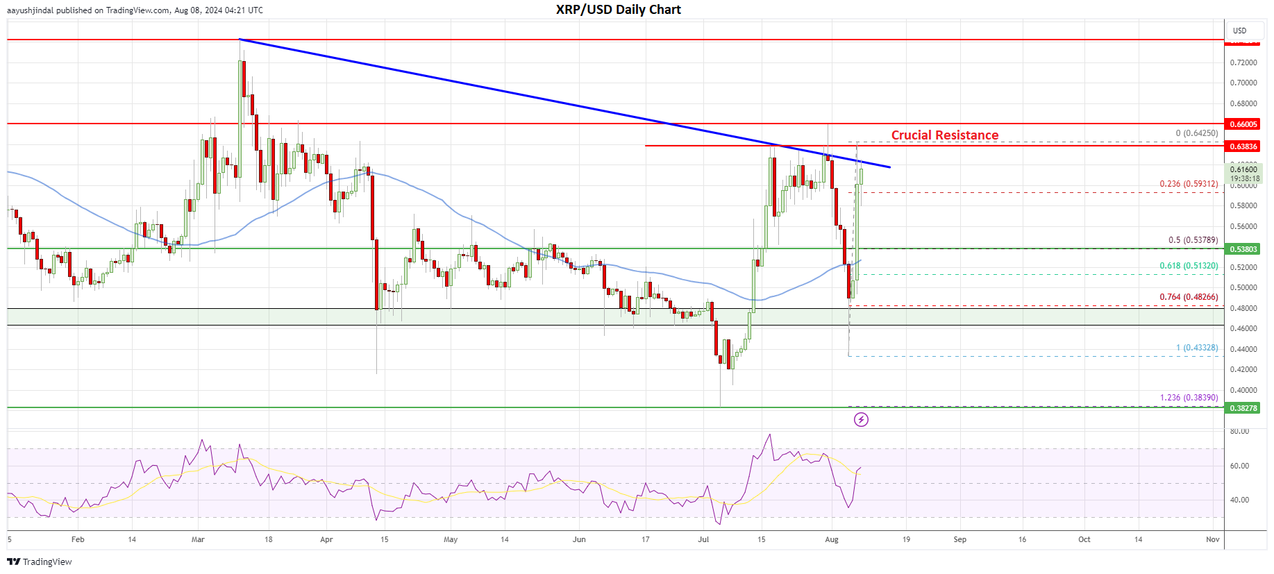 XRP price daily chart | Source: TradingView.com