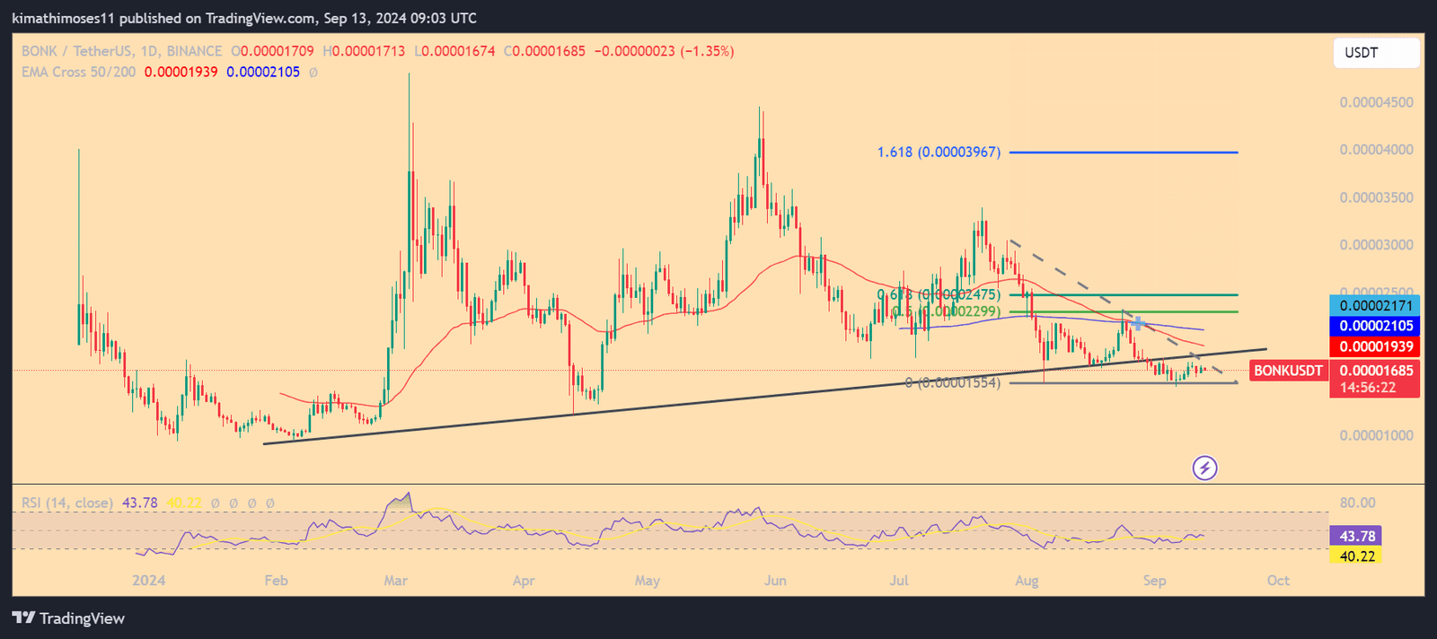 Solana Meme Coin Bonk