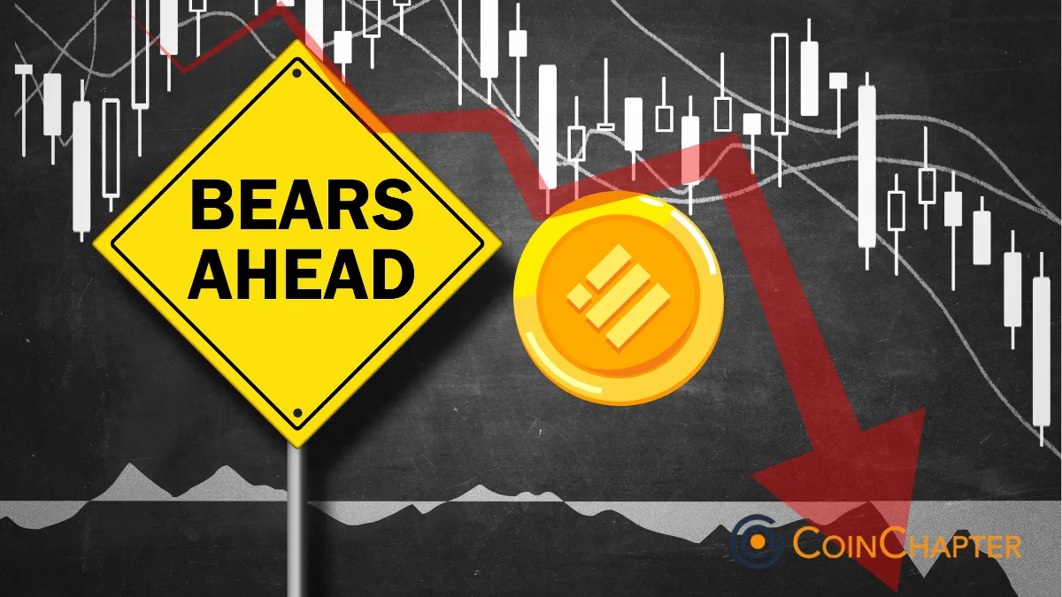 Binance Coin price down today