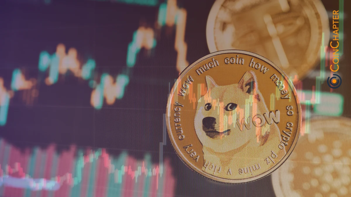 Dogecoin DOGE Coin Token price