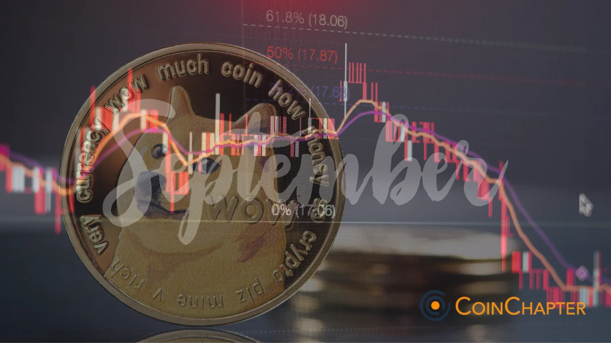 Dogecoin token coin price DOGEUSD