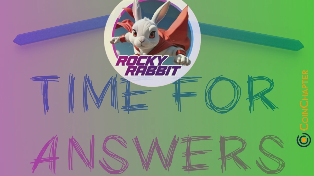 Rocky Rabbit Daily Combo Rewards Rabbitcoin