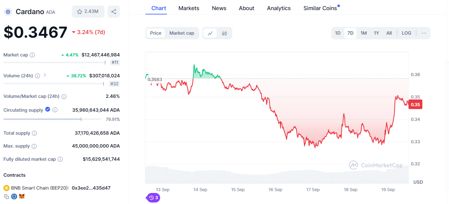 Cardano Market Overview - Source: CoinMarketCap