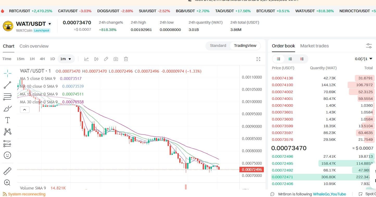 WATCoin Price Surge on Bitget | Source: Bitget TradingView