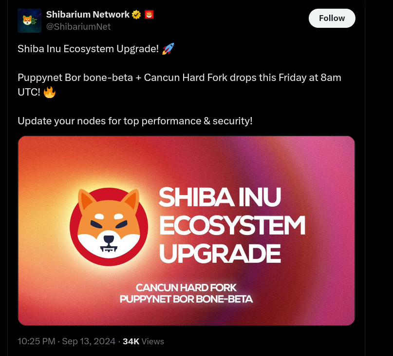 Shiba Inu News: Puppynet To Undergoing Major Upgrade