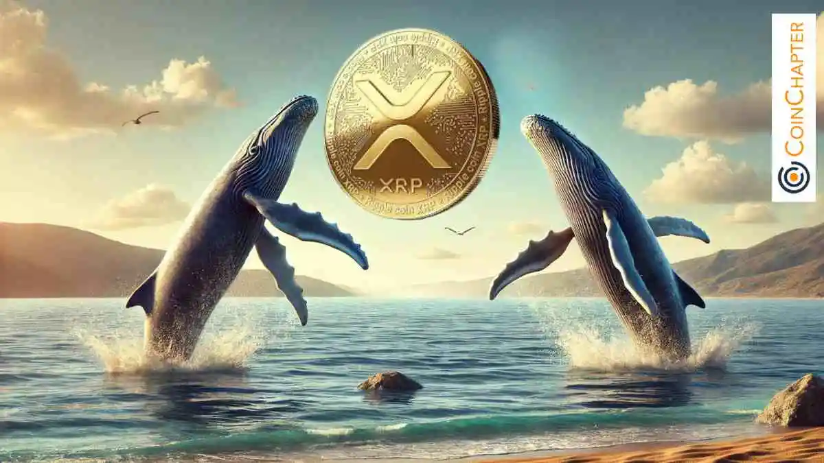 XRP Whales Shift 100M Tokens as Binance Reserves Drop logo