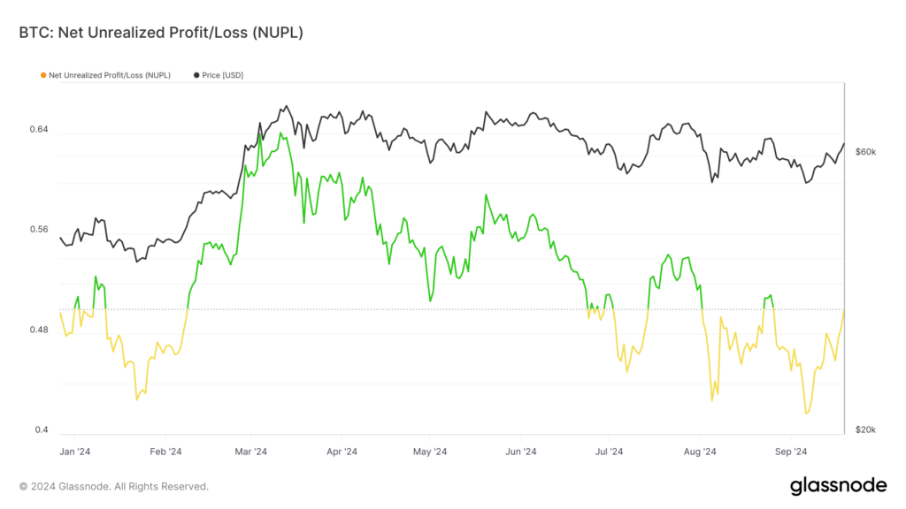 Bitcoin NUPL BTC price USD