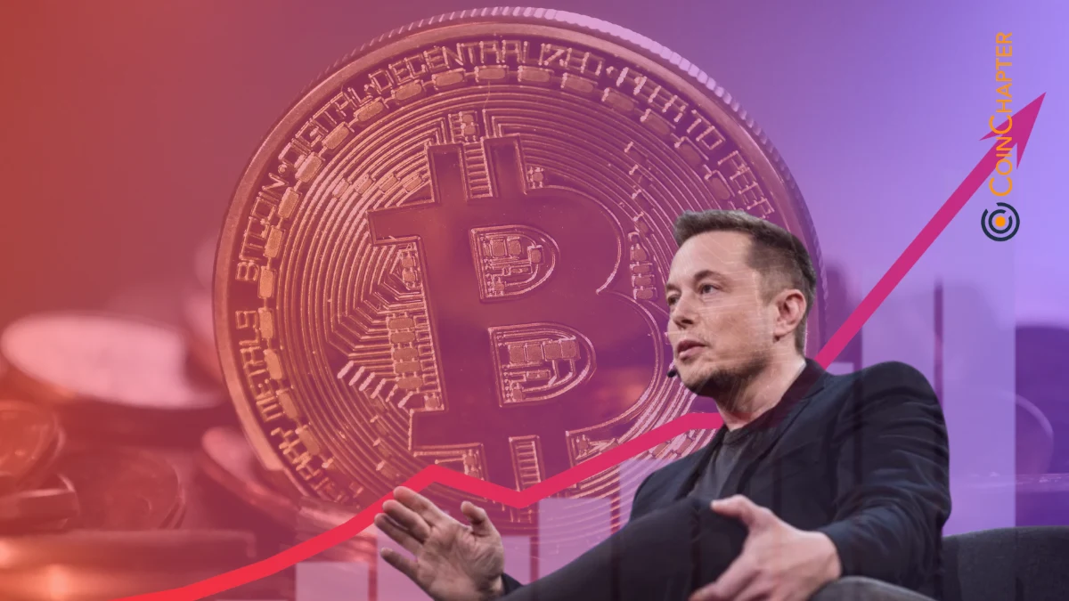 Bitcoin Rallies as Tesla’s $760M Move Sparks Speculation