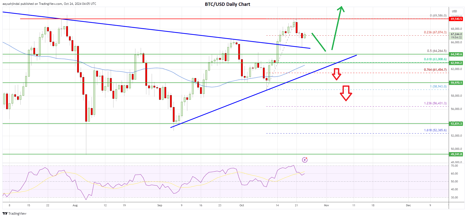 Bitcoin price daily chart | Source: BTC/USD on TradingView.com