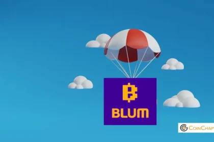 Blum Video Codes December 24 2024