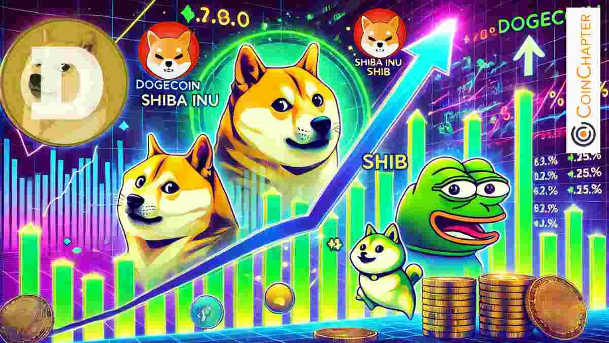Memecoin Rally