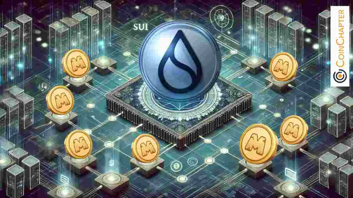 MemeFi Sui Blockchain