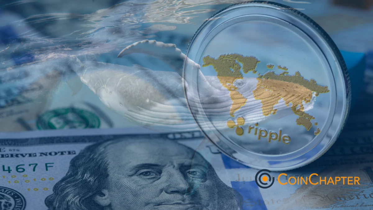 Ripple whales XRP USD price prediciton