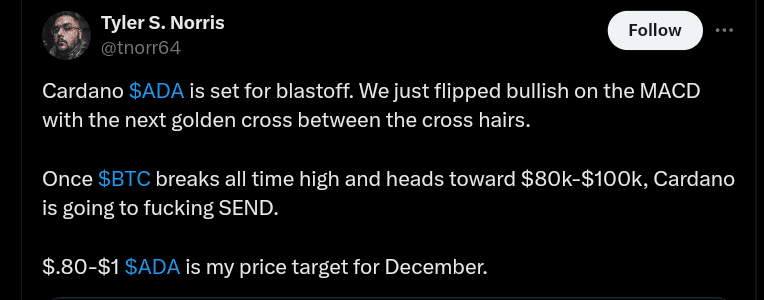 Analyst predicting that Cardano could reach $1.