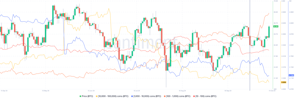 Bitcoin whales