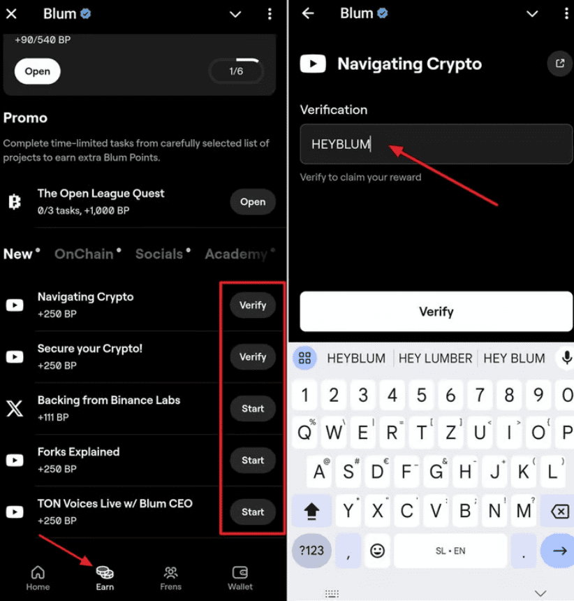 Blum Verification Process. Source: Blum App