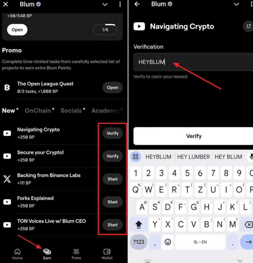 Blum Verification Process. Source: Blum App
