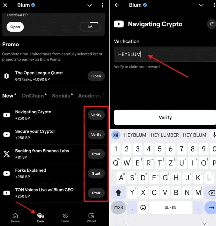 Blum Verification Process. Source: Blum App