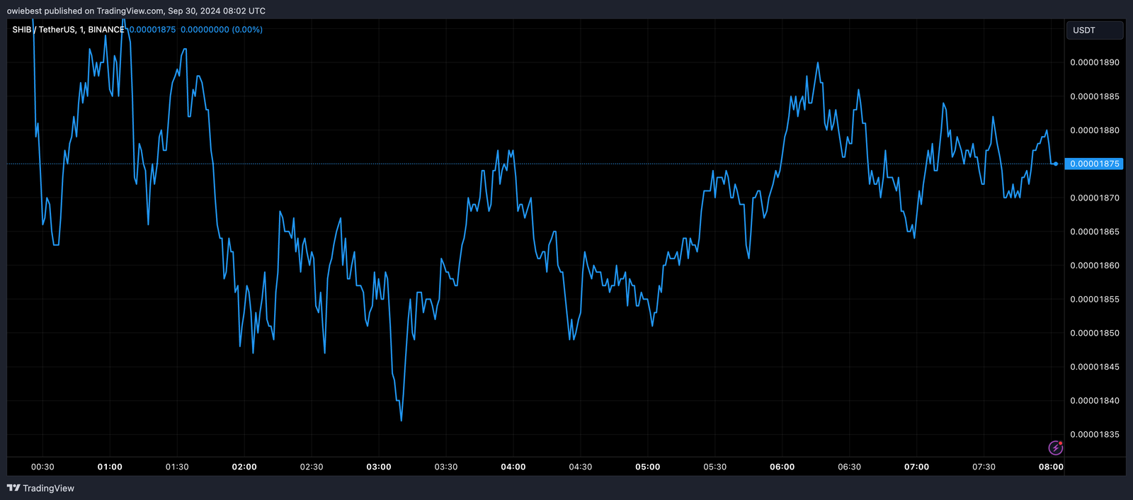 
Shiba Inu Price Movement on Binance (Source: TradingView