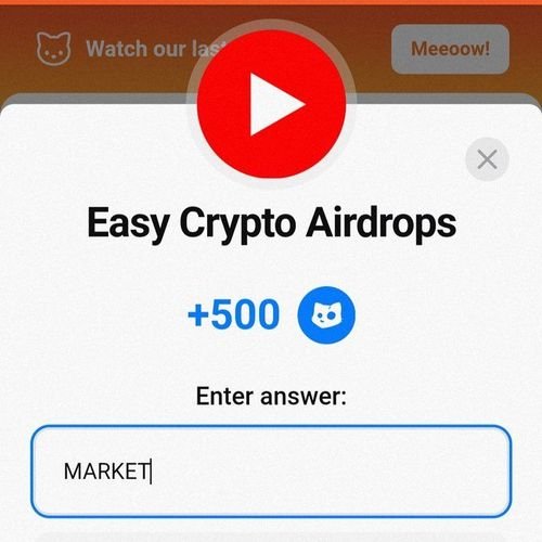 Cats YouTube video code for Oct. 12