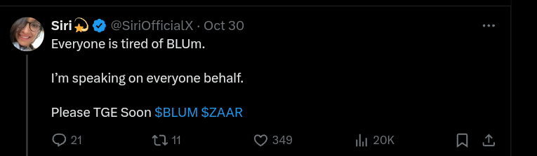 A User commented on Blum Post.