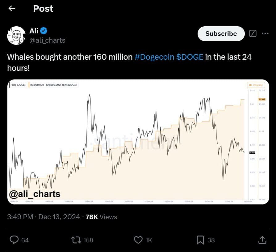 Dogecoin DOGE SHIB USD price analysis
