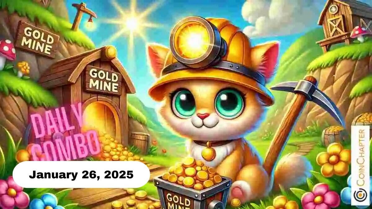 Cat Gold Miner Daily Combo